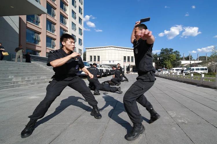 中国特警vs斯巴达勇士