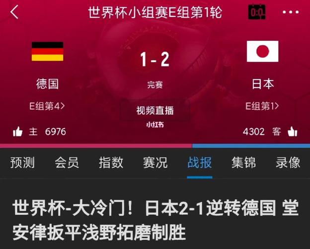 日本vs德国赢多少