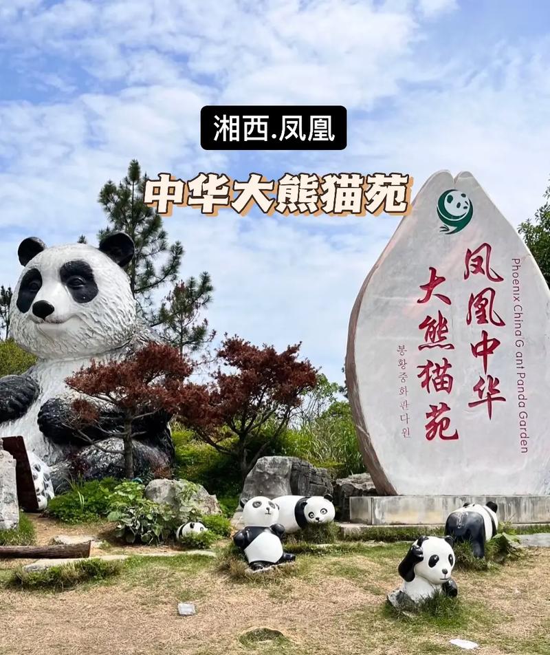 熊猫vs凤凰
