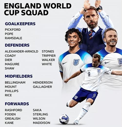 英超多少球员参加世界杯